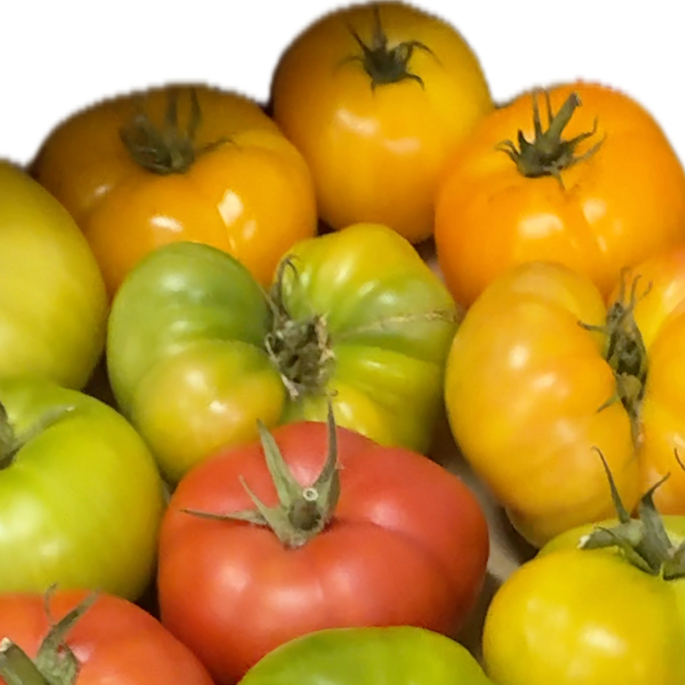 Heirloom tomatoes